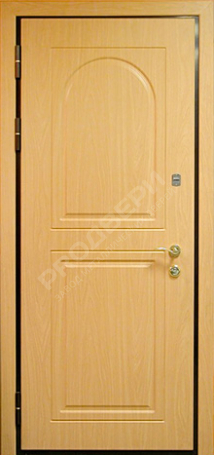 Фотография «Дверь Порошок №33»