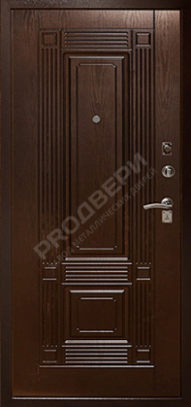 Фотография «Бронированная №5»