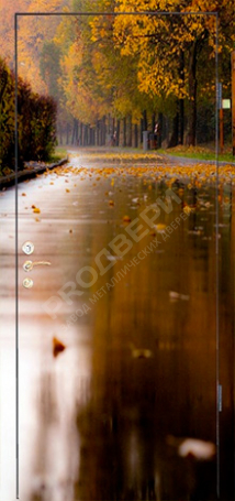 Фотография «Дверь с фотопечатью №5»