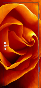 Фотография «Дверь с фотопечатью №11»